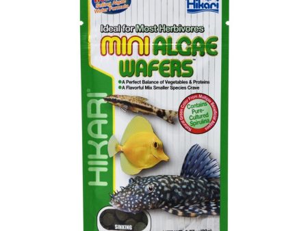 Hikari USA Algae Wafers Sinking Wafer Fish Food 1ea 0.77 oz, Mini Sale