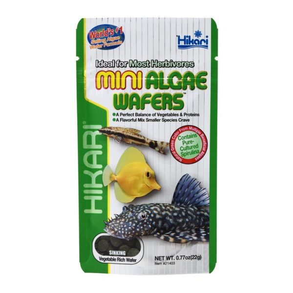 Hikari USA Algae Wafers Sinking Wafer Fish Food 1ea 0.77 oz, Mini Sale