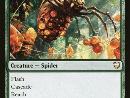 Sweet-Gum Recluse [Commander Legends] Cheap