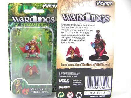 Wardling Painted Miniatures : Boy Cleric & Winged Snake Online Sale