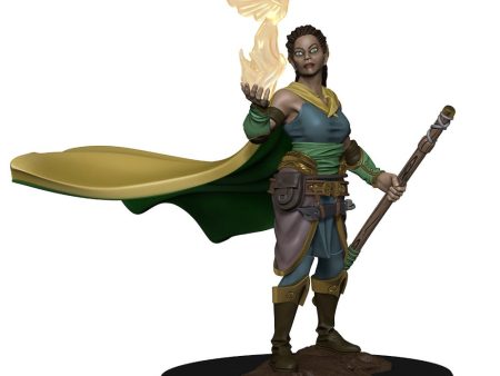 D&D Premium Figures: Elf Female Druid Cheap