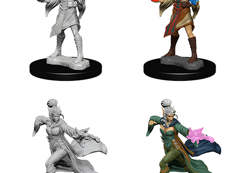 Pathfinder Deep Cuts Unpainted Minis: Elf Female Sorcerer Online now