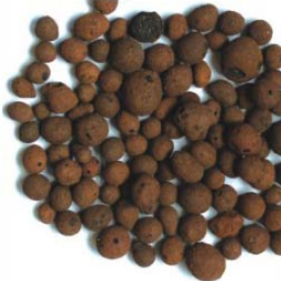 ALGAE REMOVER 500G    8-12MM PELLET Fashion