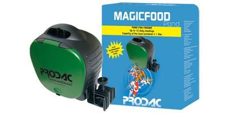 MAGICFOOD on Sale