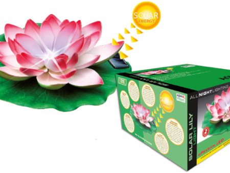 SOLAR LILLY LIGHT Online Hot Sale