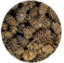 50pcs ALDER CONES For Discount