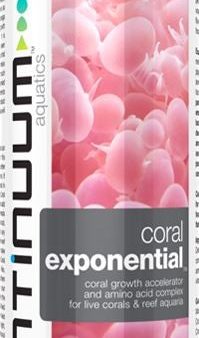 CORAL EXPONENTIAL Online Hot Sale